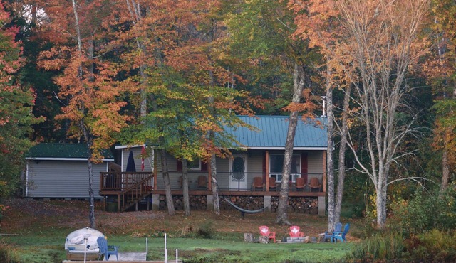 Quiet Getaway - 4 Season Lakefront Cottage