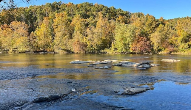 River View Cabin .