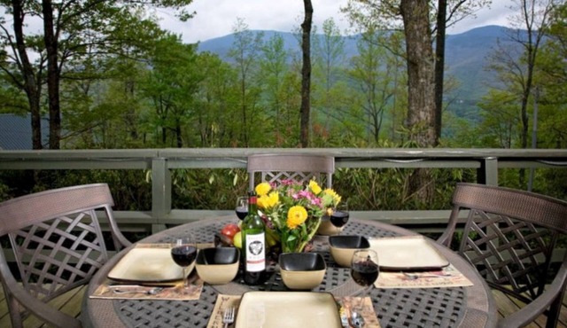 🌲Roaring Fork Chalet: MTN View, Hiking, Waterfalls, Trails - Dog Friendly!🐕‍🦺