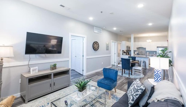 Sanctuary Co 204 Loft Downtown Johnson City