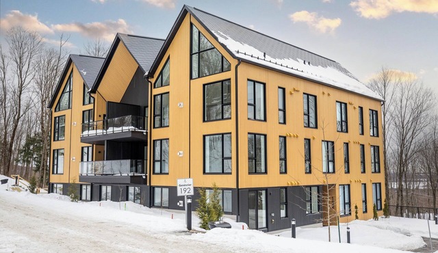 Ski-in/Ski-out Your Dream Mountain Getaway Luxury Awaits and even more!
