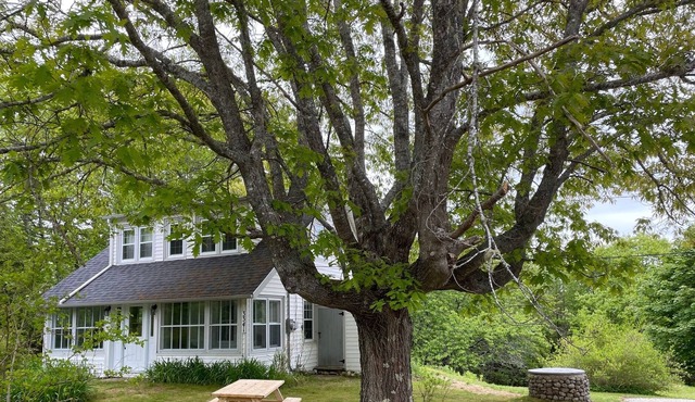 South Shore Oasis - Spacious 3 Bedroom Getaway
