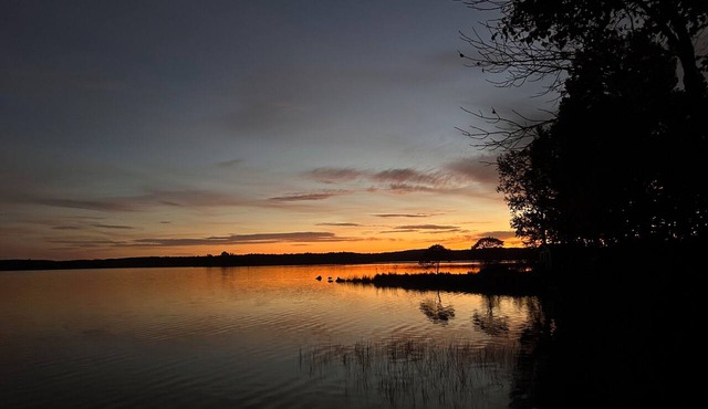 The Blue Willow
