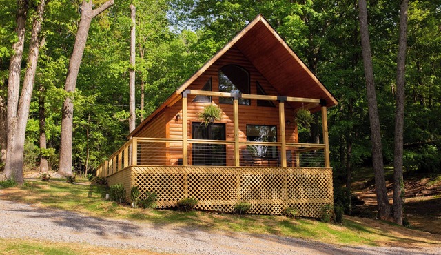 The Cozy Cabin - luxury haven- Loft