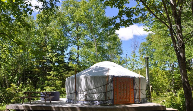 The Forest Yurt at Cabot Shores Wilderness Resort