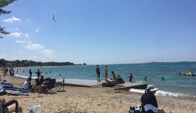 The Shores