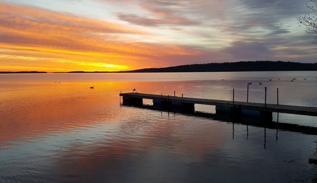 Tranquility on Rice Lake