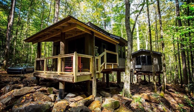 Treehouse Over Creek with WiFi, private hiking trails, firepit & swimming hole