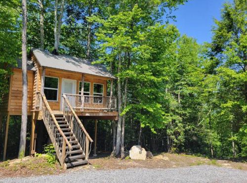 Treehouses at Lake Mountain Manor