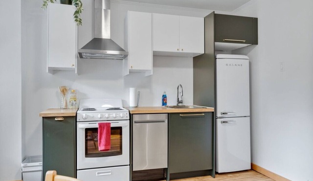University Apartment — Vintage 1BR near Ottawa