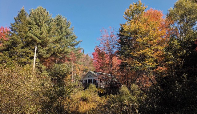 Vintage cottage in the heart of the forest for autumn cocooning
