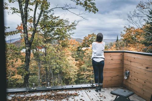 Warm cabin in nature with spa & sauna