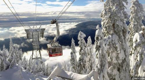 West Van Luxury Retreat 2BR 2BA Oceanview