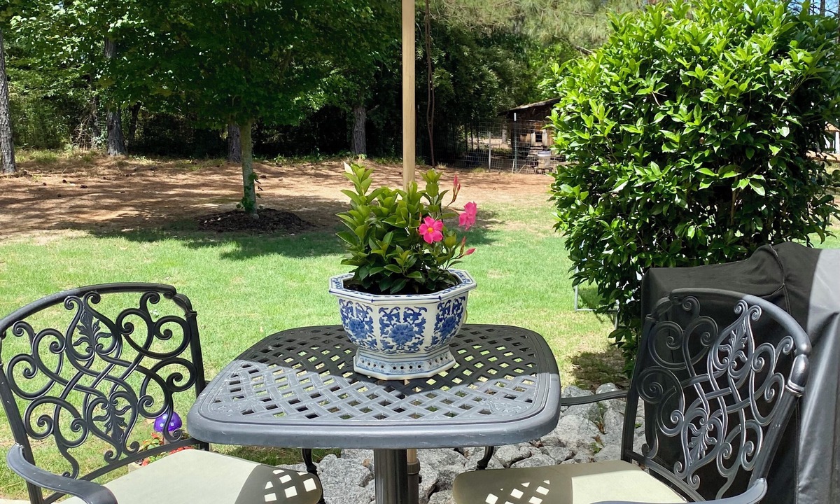Appling House | Tranquil 3-bedroom home on a private wooded lot 16 miles to Masters Golf course