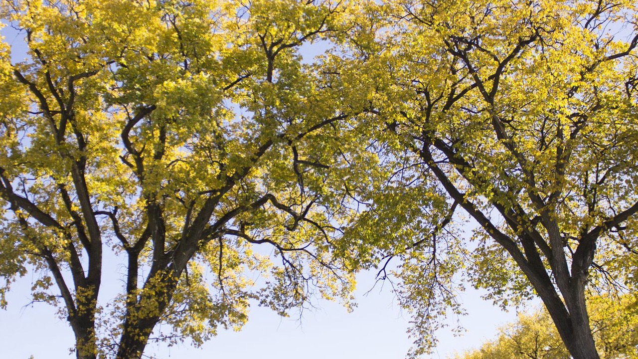 Photo of Outdoor in Downtown Winnipeg