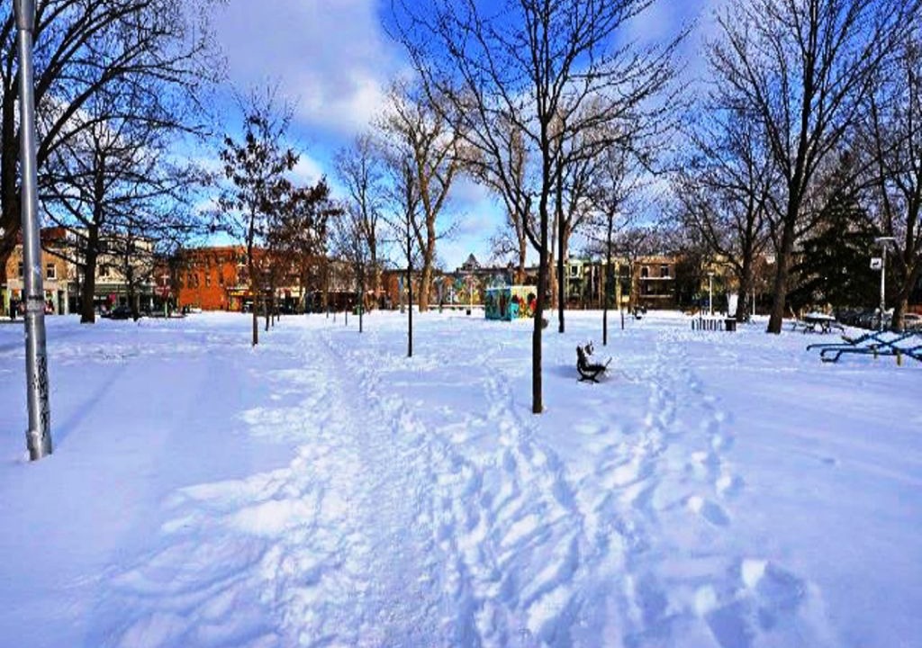 Photo of Outdoor in De Lorimier