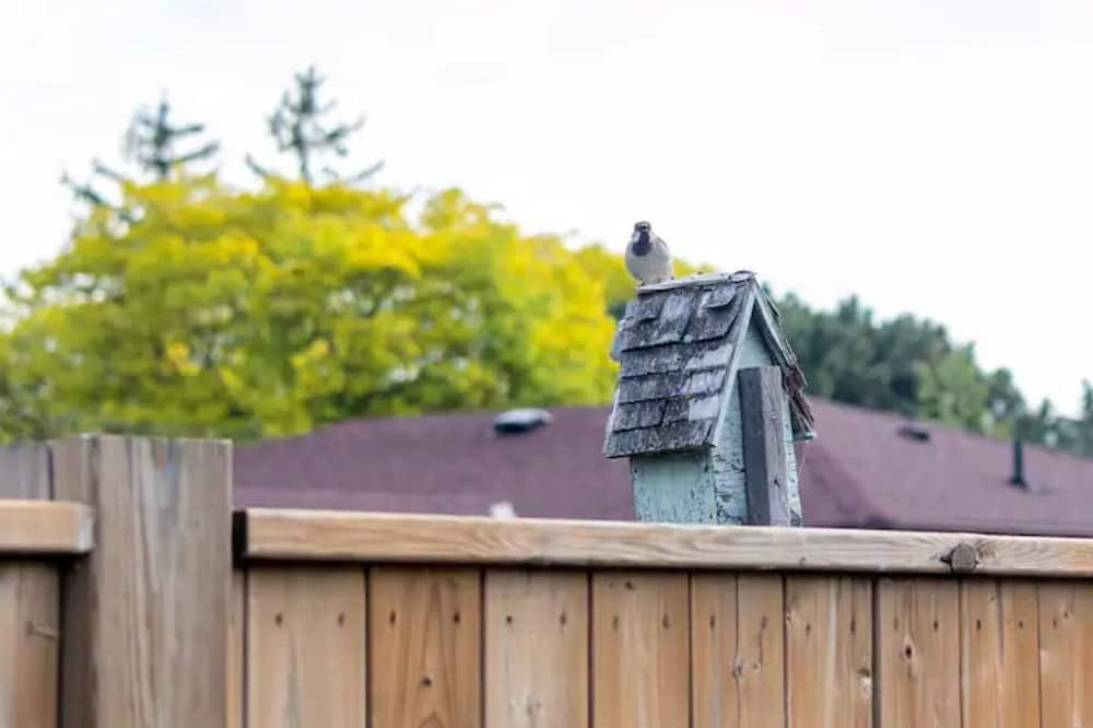 Photo of Outdoor in Grimsby