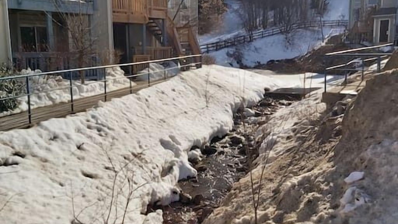Photo of Outdoor in Craigleith