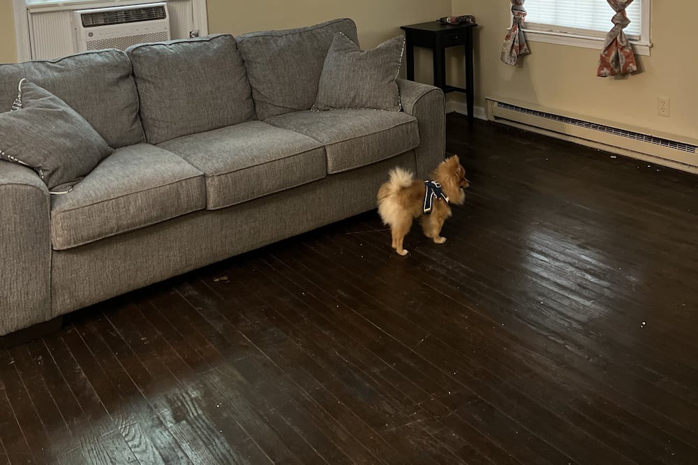 Photo of Livingroom in Darlington