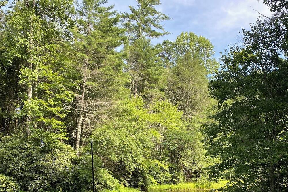 Photo of Outdoor in Cashiers