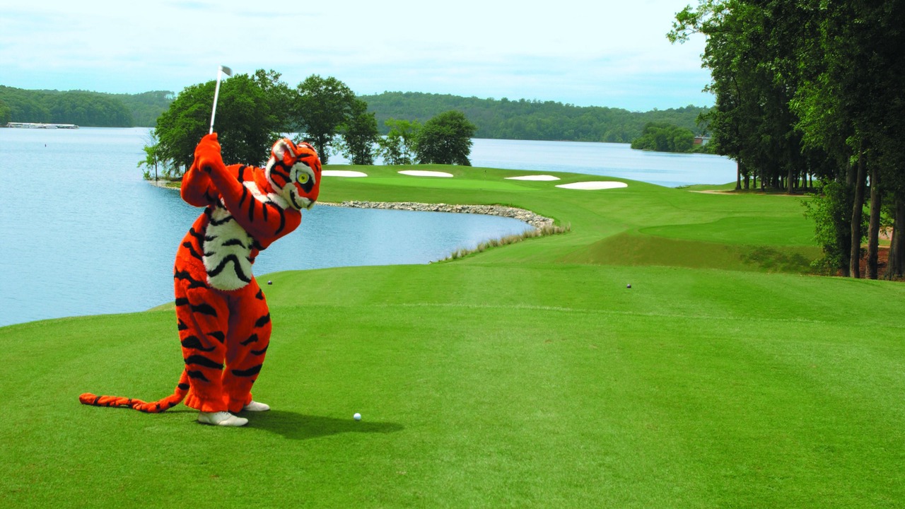 Photo of Others in Clemson