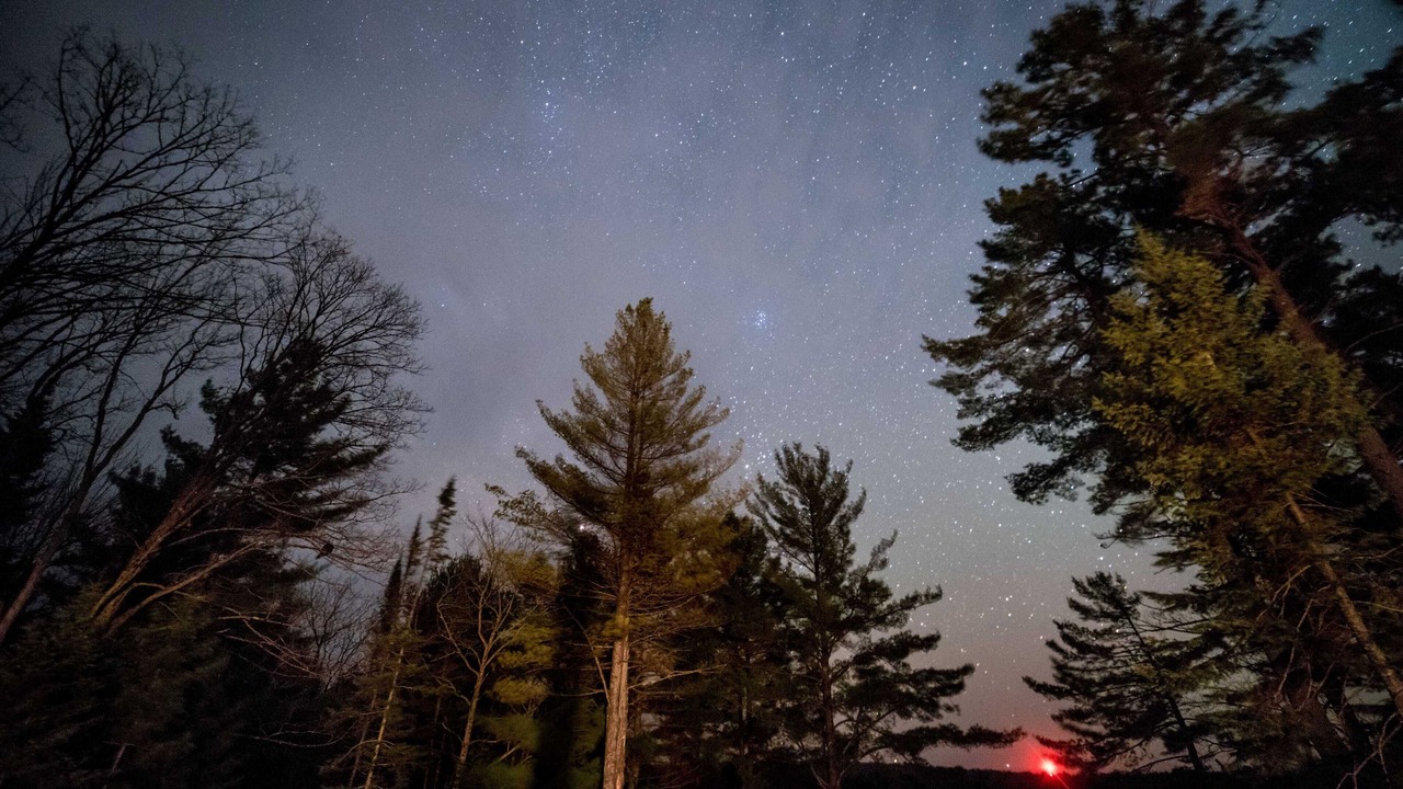Photo of Others in Lake of Bays