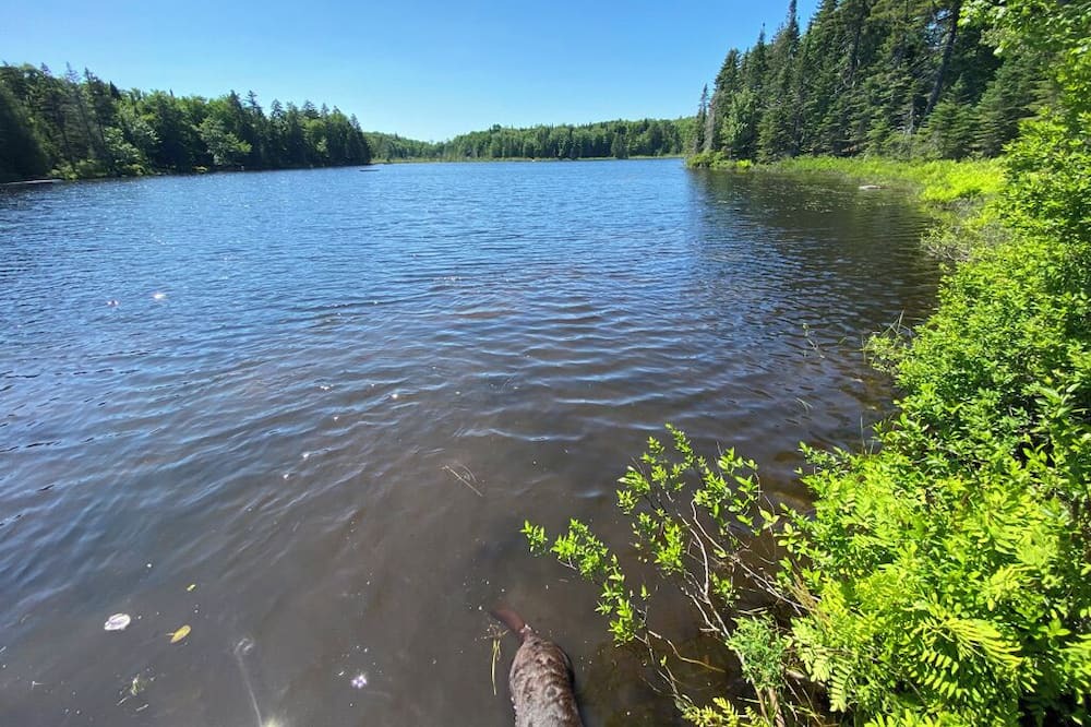 Photo of Others in Morin Heights