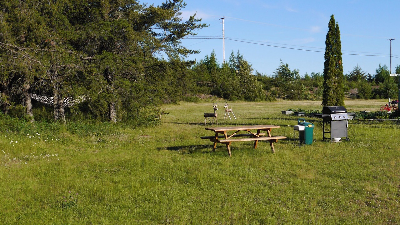 Photo of Outdoor in Berry Mills
