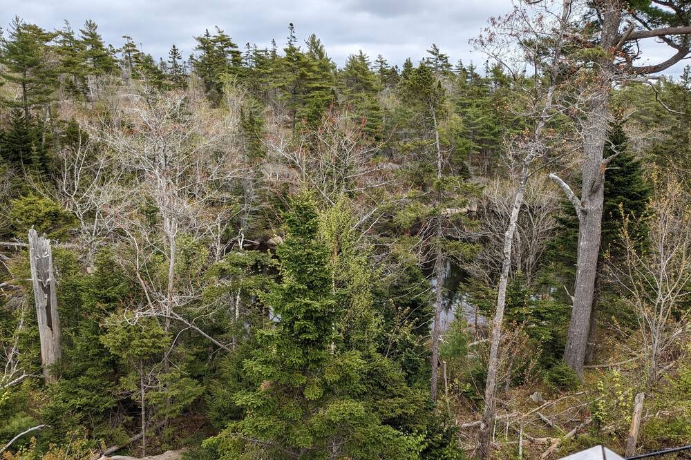 Photo of Outdoor in Halifax