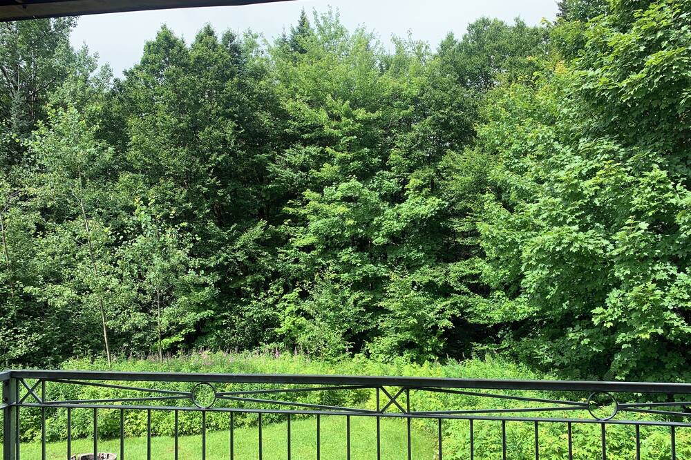 Photo of Outdoor in Stoneham
