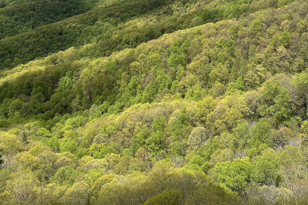 Photo of Outdoor in Mountain City