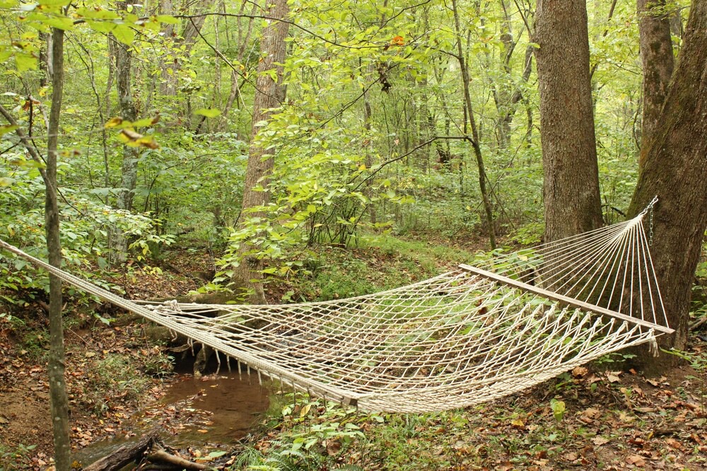 Photo of Others in Pittsville