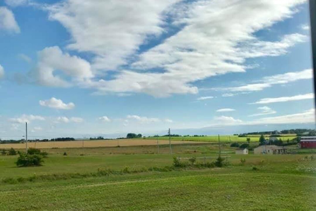 Photo of Others in Malpeque