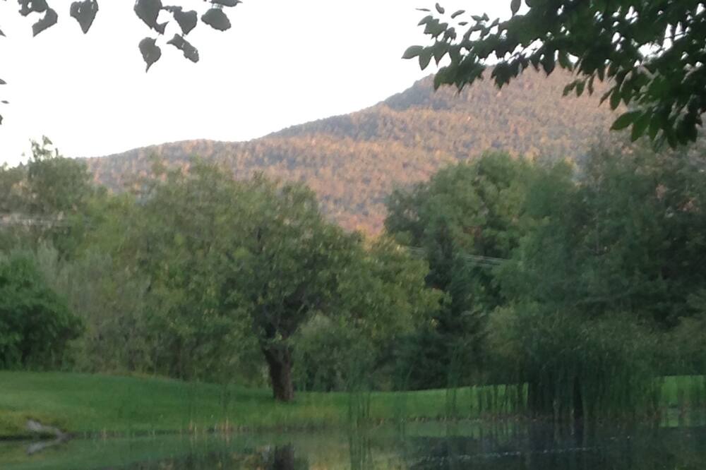 Photo of Outdoor in Sutton