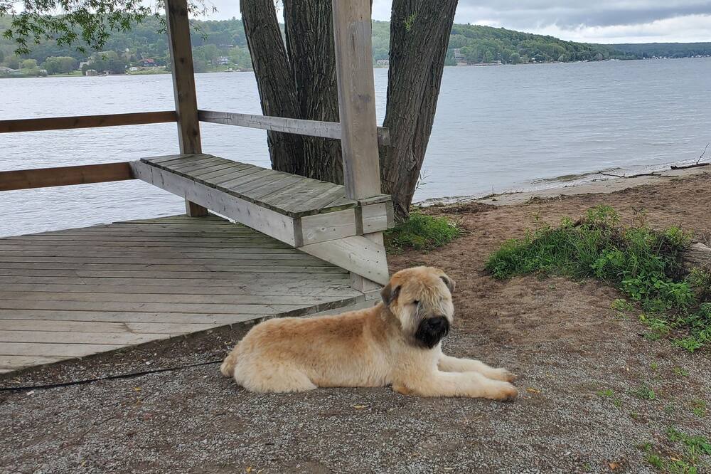Photo of Outdoor in Penetanguishene