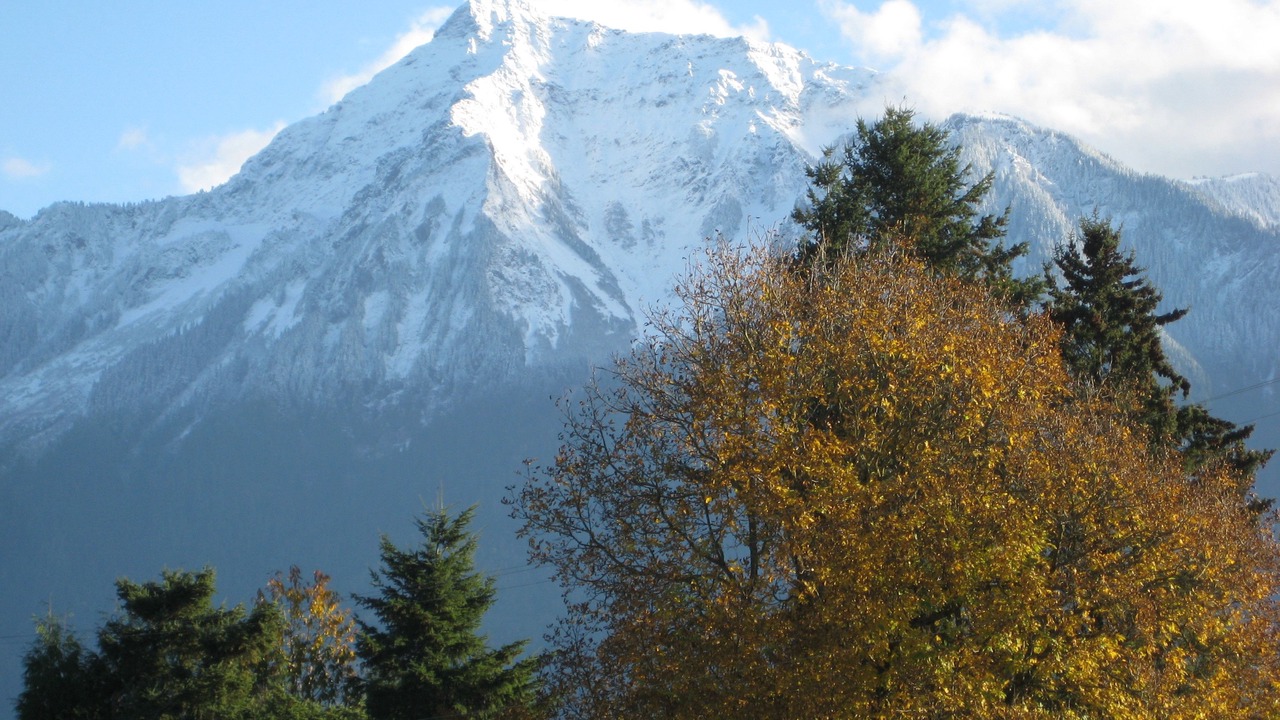 Photo of Others in Agassiz