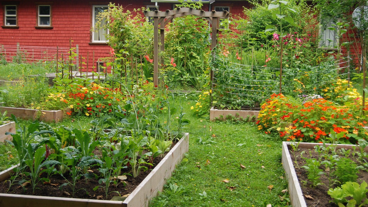 Photo of Outdoor in Agassiz