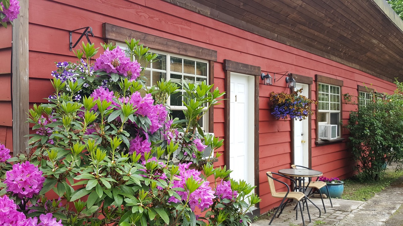 Photo of Outdoor in Agassiz