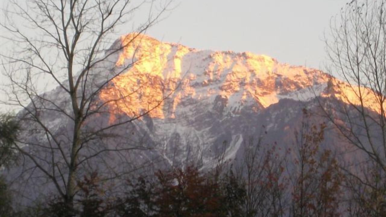 Photo of Others in Agassiz