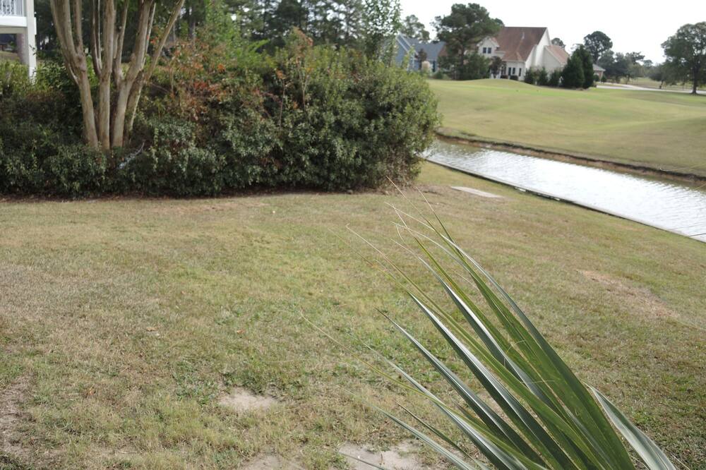 Photo of Outdoor in Calabash