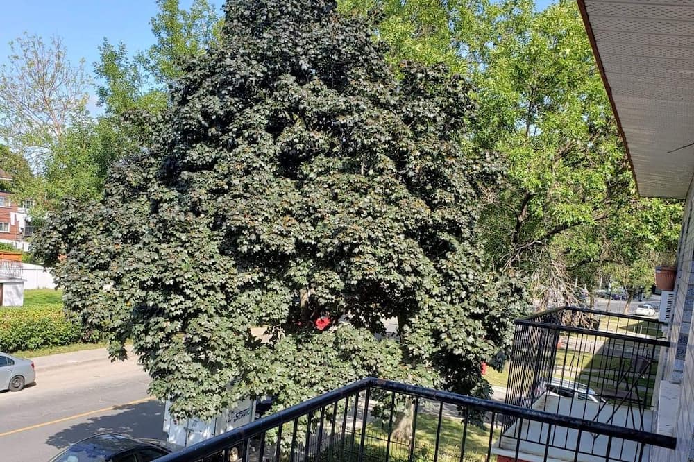 Photo of Patio Balcony in Saint-Leonard