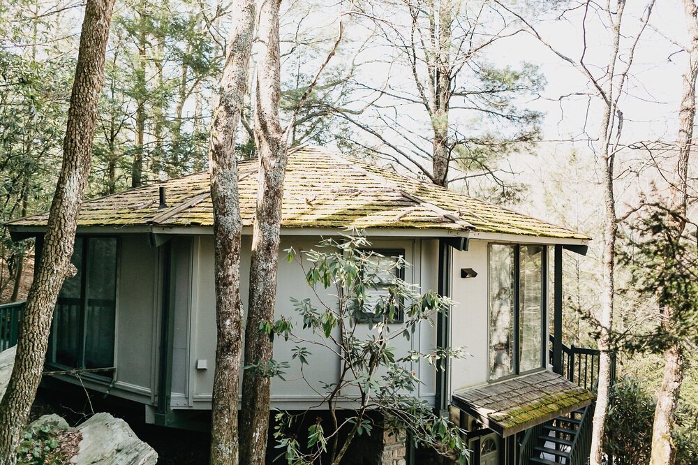 Photo of Others in Boone
