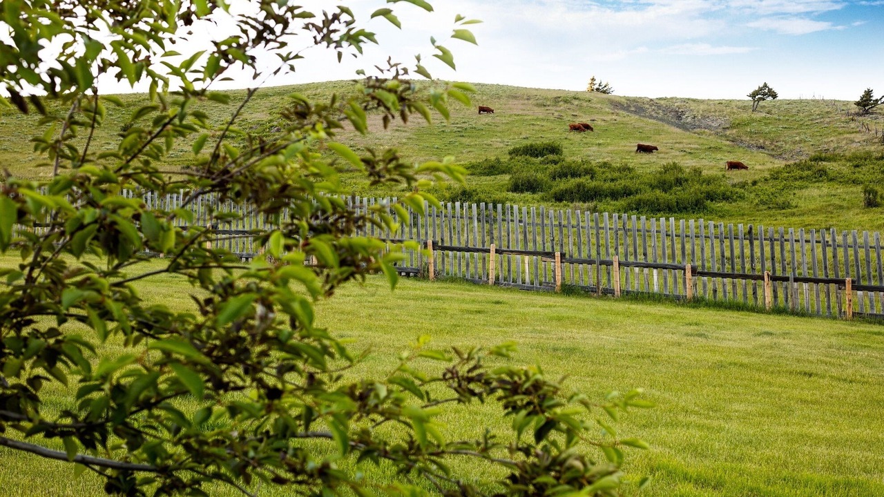 Photo of Outdoor in Beaver Mines