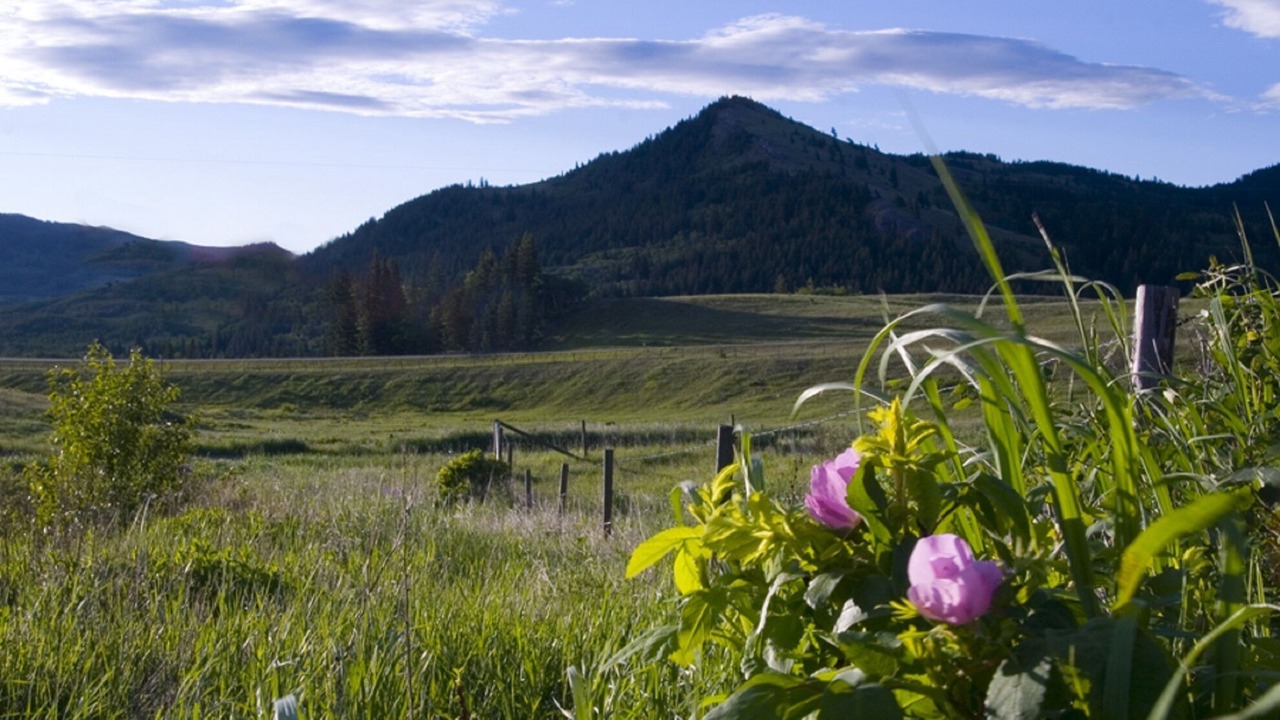 Photo of Outdoor in Beaver Mines