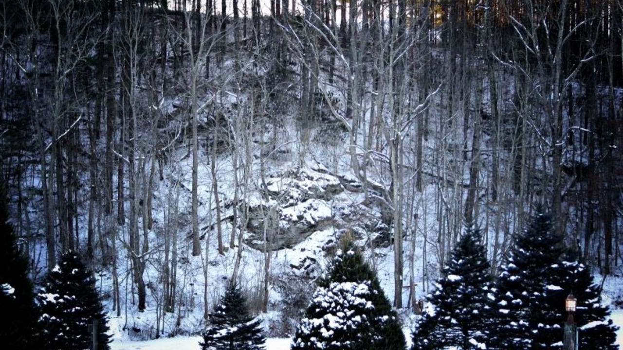 Photo of Outdoor in Altamont