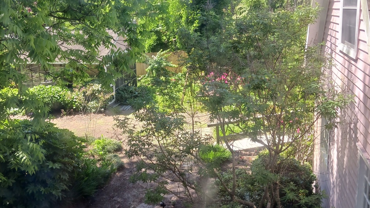 Photo of Outdoor in Wanchese