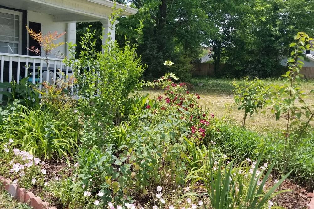 Photo of Others in East Durham