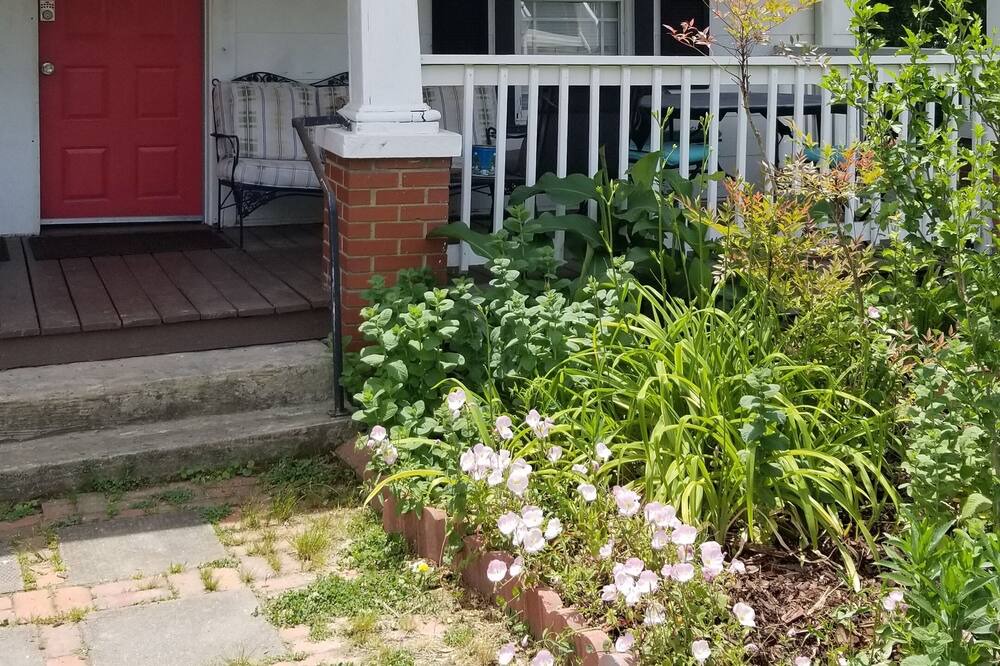 Photo of Outdoor in East Durham