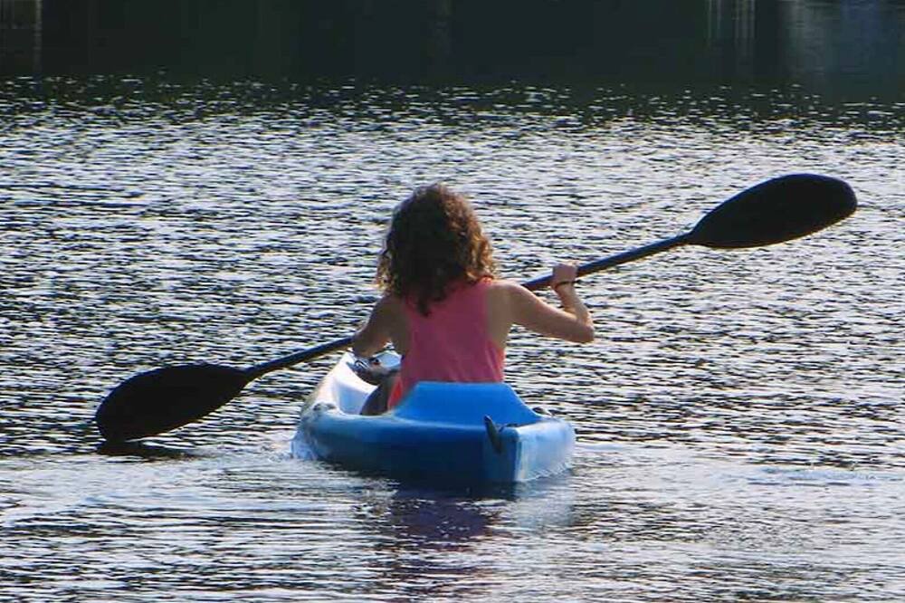 Photo of Others in Harrington