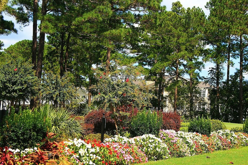 Photo of Outdoor in Calabash